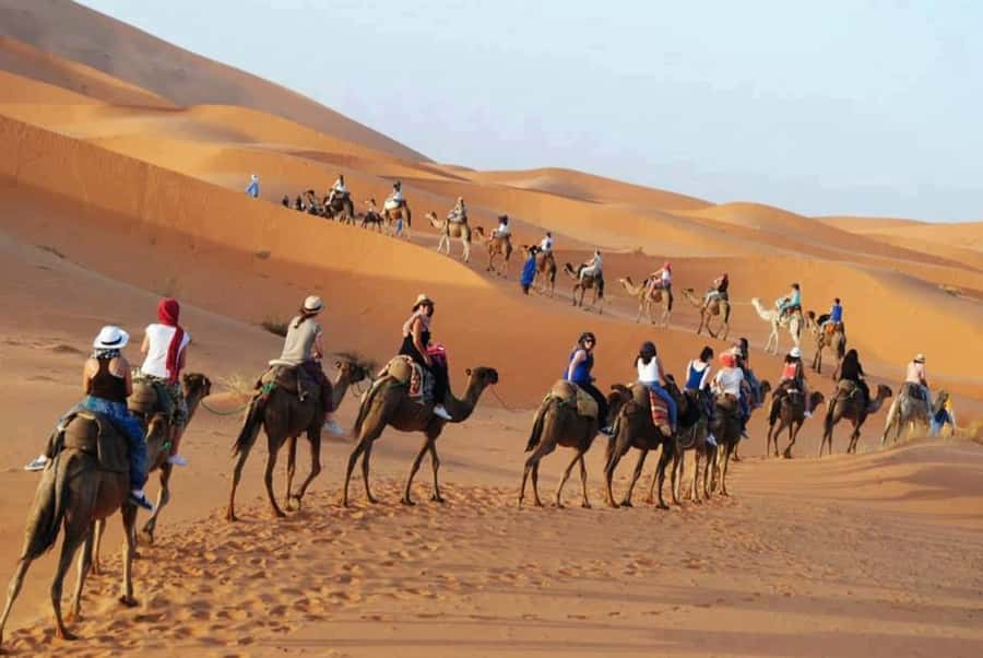 From Fes: 2-Day Luxury Desert Tour to Marrakech & Back Fez - Dinner, Berber music, and a desert camp that aims for real comfort