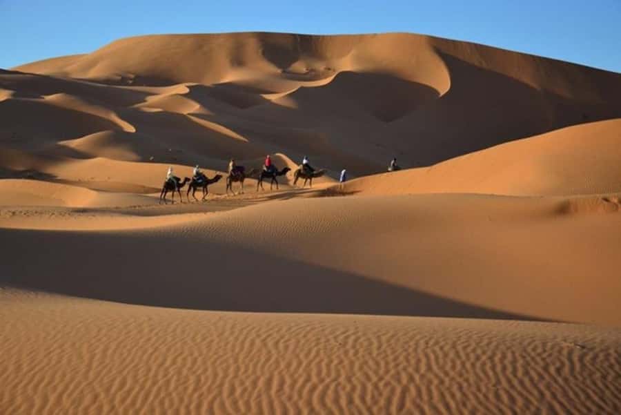 From Fes: 2-Day Luxury Desert Tour to Marrakech & Back Fez - Sandboarding and the small “check on the day” tip