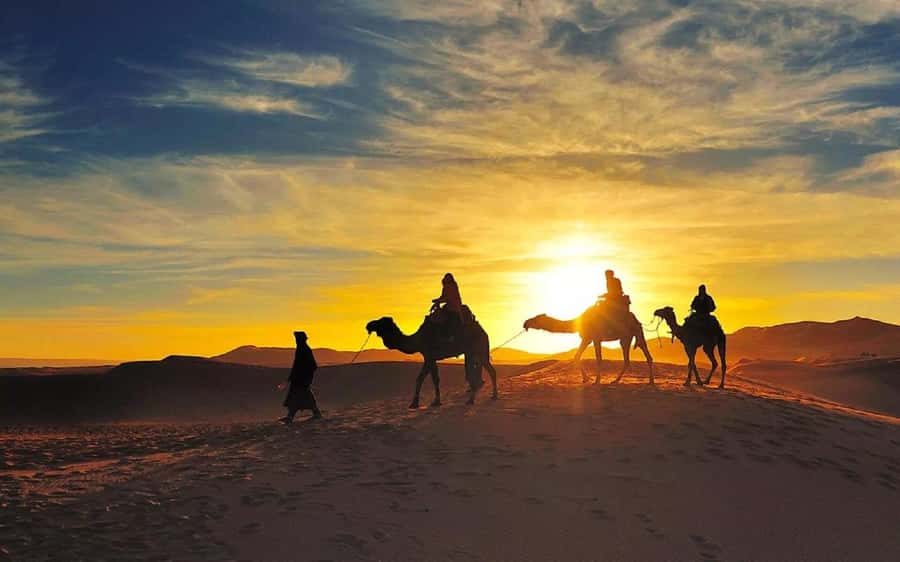 From Fes: 2-Day Luxury Desert Tour to Marrakech & Back Fez - Day 2 breakfast among the dunes, then riding back toward Merzouga