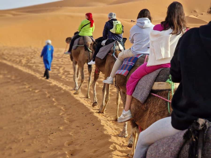 From Fes: 2-Day Luxury Desert Tour to Marrakech & Back Fez - Who this tour suits best (and who should pick something else)