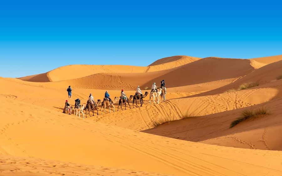 From Fes: 2-Day Merzouga Desert Trip(Luxury Tent & Dinner) - Fire Pit Night: Live Music, Berber Show, and a Full Camp Evening