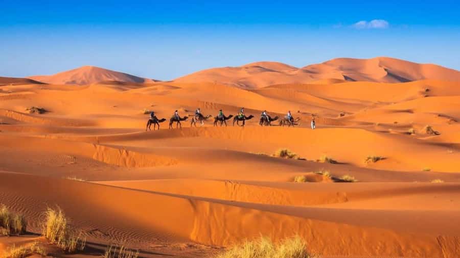 From Fes: 2-Day Merzouga Desert Trip w/Luxury Tent & Dinner - The Next Morning: Sunrise Over Erg Chebbi and Breakfast That Recharges You