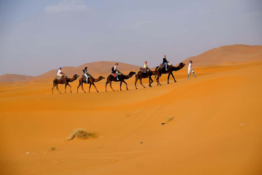 From Fes: 2-Day Merzouga Desert Trip w/Luxury Tent & Dinner - Return to Fes or Marrakech: Long Bus Ride, Clear Drop-Off