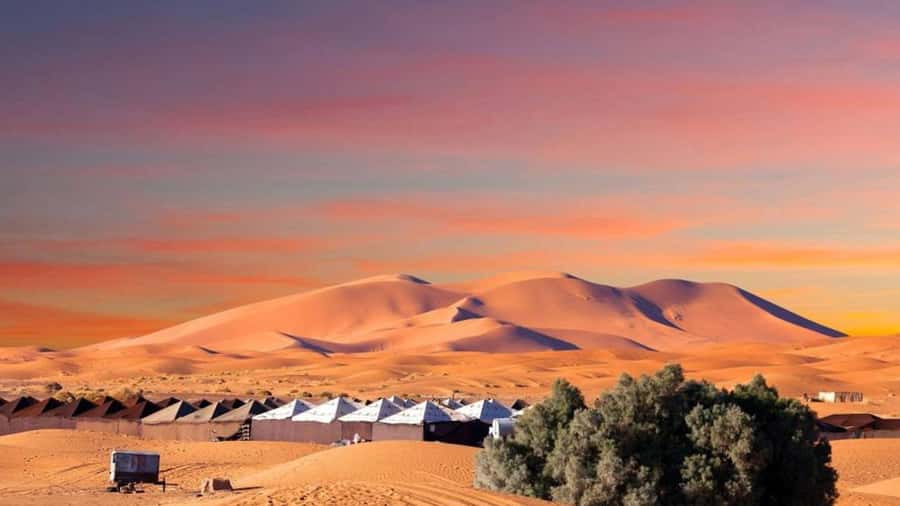 From Fes: 2-Day Merzouga Desert Trip w/Luxury Tent & Dinner - Ifrane, Cedar Forests, Barbary Monkeys, and Midelt: The Morocco Stops People Remember