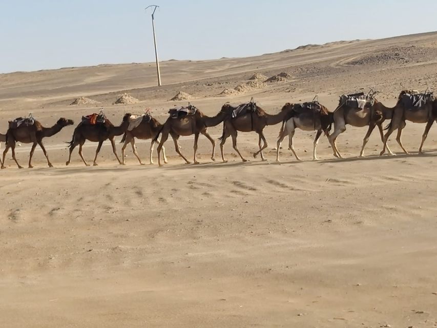 From Fes: 2 Day Round Trip Via Merzouga Desert & Camel Trek - Should you book it? My quick decision guide