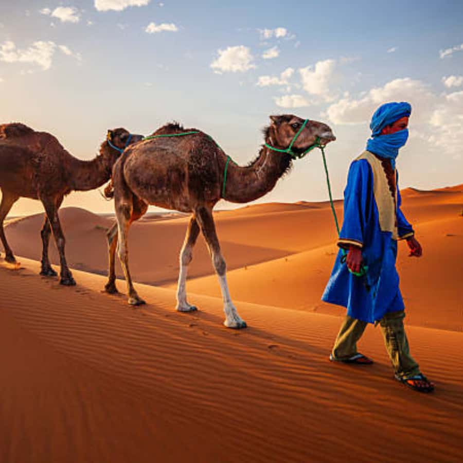 From Fes: 2 Day Round Trip Via Merzouga Desert & Camel Trek - Merzouga arrival: luggage drop, 45 minutes on camelback, then camp dinner