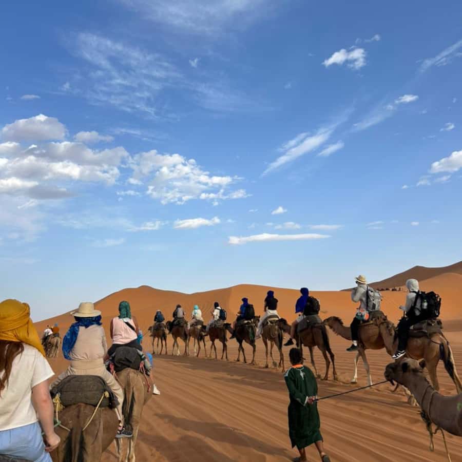 From Fes: 2 Day Round Trip Via Merzouga Desert & Camel Trek - Morning drive: Ifrane, Midelt, and the cedar forest monkey stop