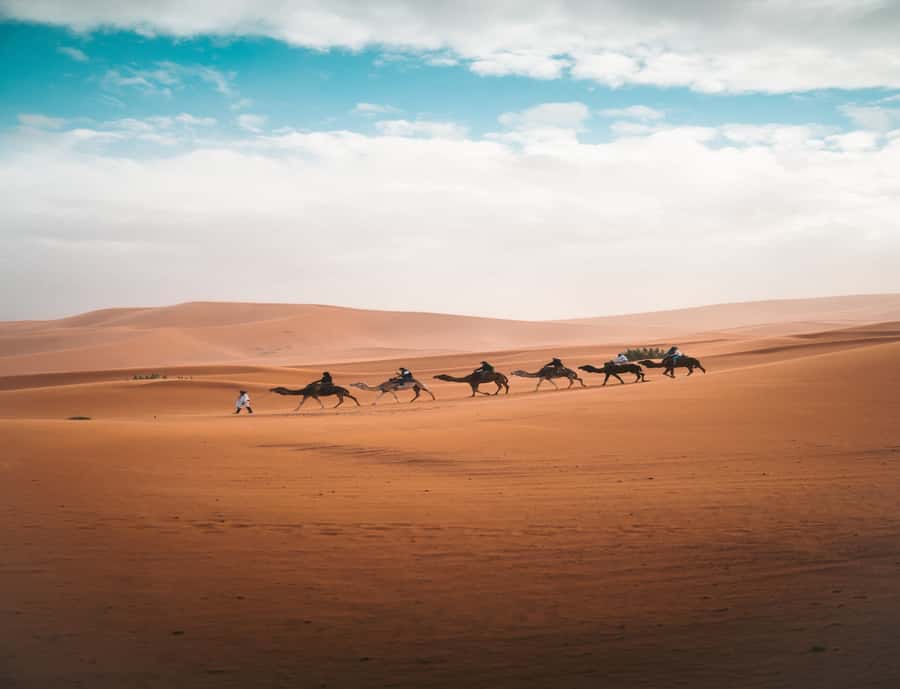From Fes: 3-Day 2-Night Desert Tour to Marrakech - Erg Chebbi at sunset: camel dunes, stargazing, and campfire music