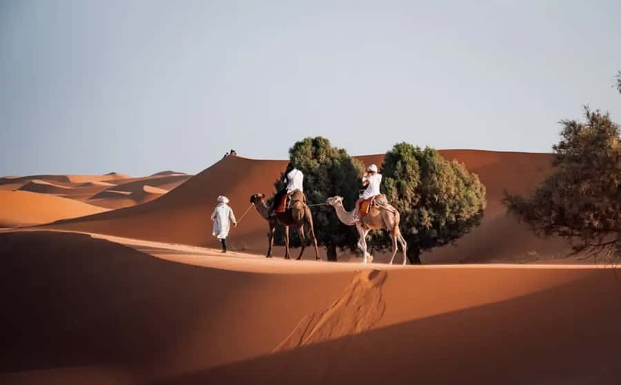 From Fes: 3-Day Luxury Desert Tour to Marrakech via Merzouga - Key Highlights You Should Care About