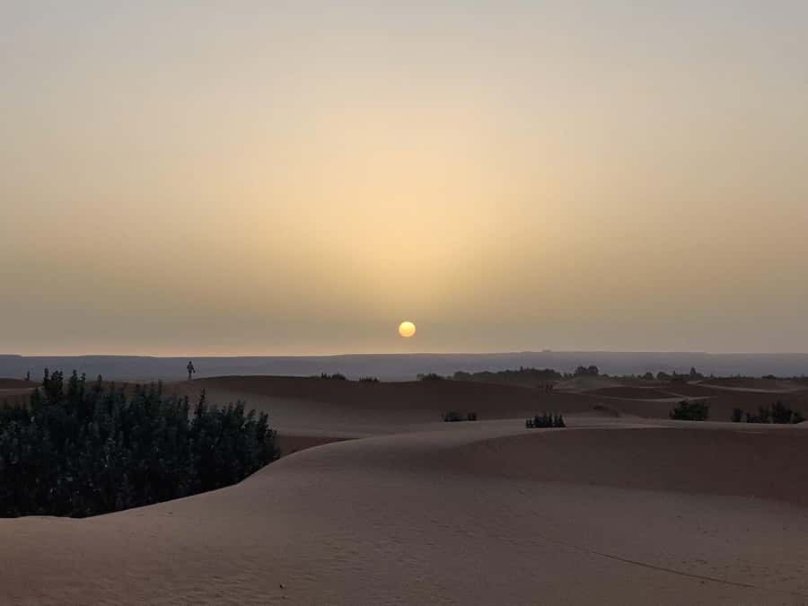 From Fes: 3-Day Luxury Desert Tour to Marrakech via Merzouga - Ouarzazate Movie Studios and Kasbah Ait Ben Haddou UNESCO