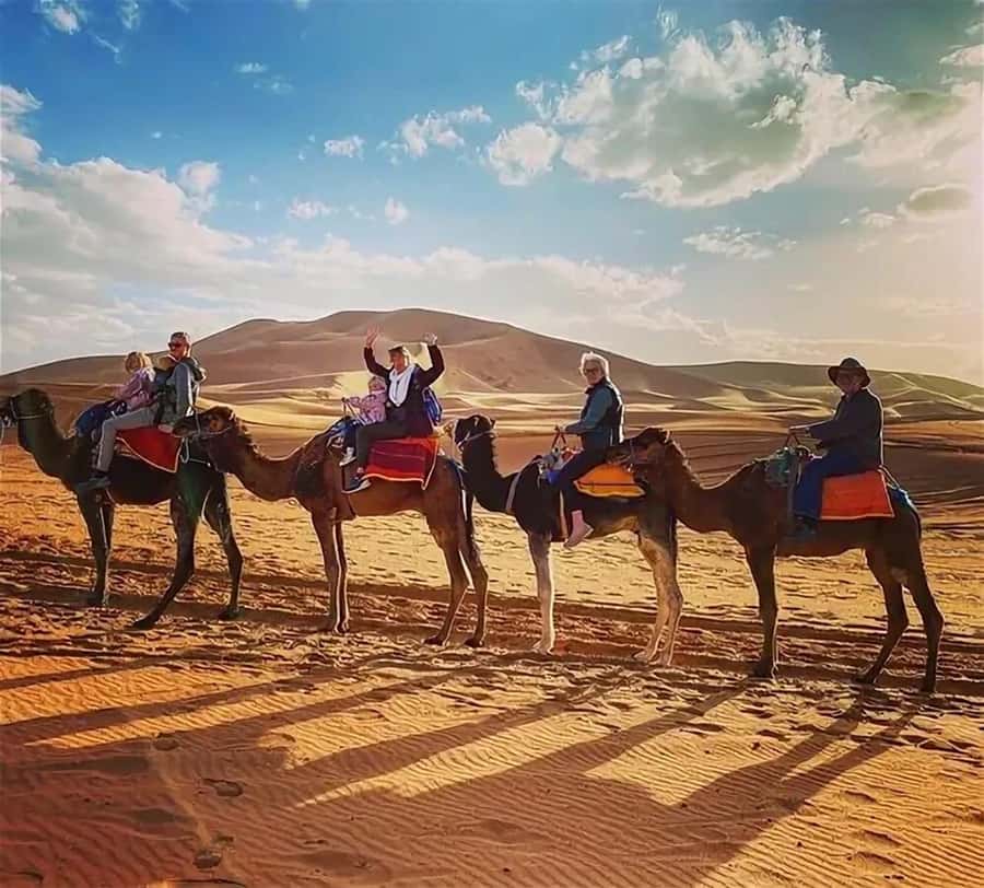 From Fes: 3-Day Luxury Desert Tour to Marrakech via Merzouga - From Fes to Ifrane, Cedar Forest, and the Barbary Macaques
