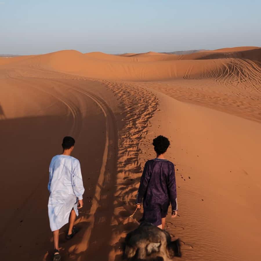 From Fes: 3 Day Magical Desert Camel Trek To Marrakech - Key highlights I’d plan around