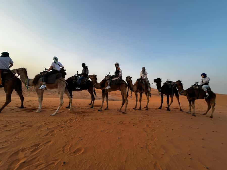 From Fes: 3 Days and 2 Nights Desert Trip to Marrakech - Your first day out of Fez, cedar forests and monkey spotting