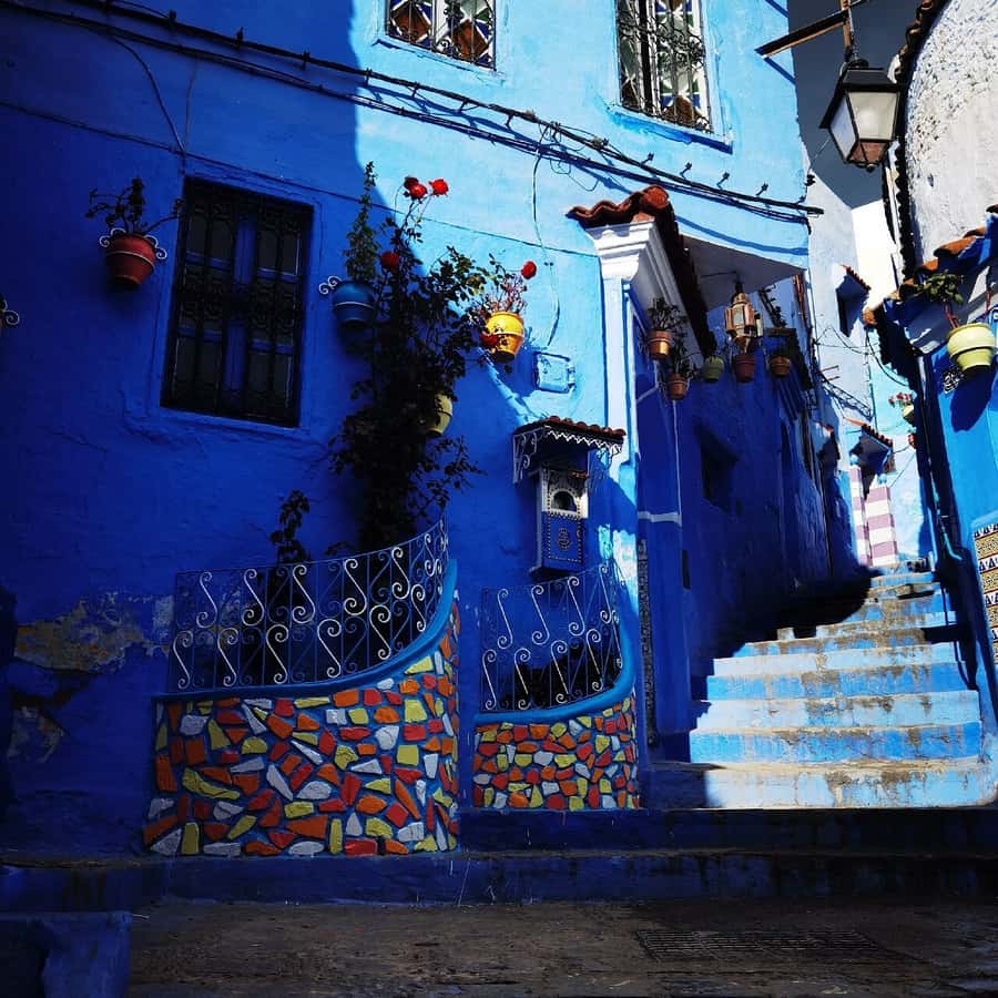 From Fes: Chefchaouen Day Trip with Return Transfers - Grand Mosque viewpoint: your best panoramic moment