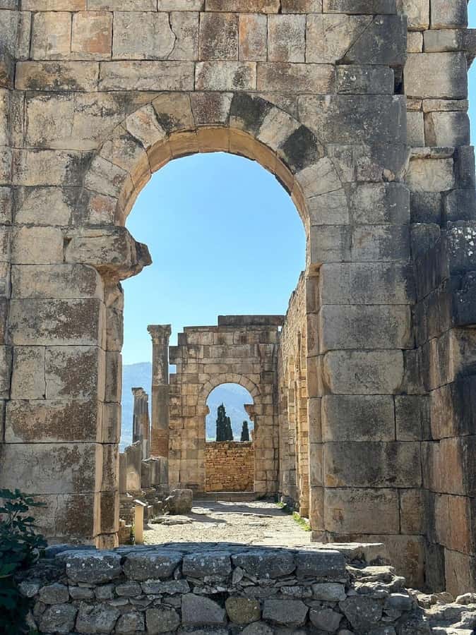 From Fes Day Trip to Meknes,Volubilis,Moulay Idriss Zerhoun - Volubilis: where Rome stops being a textbook