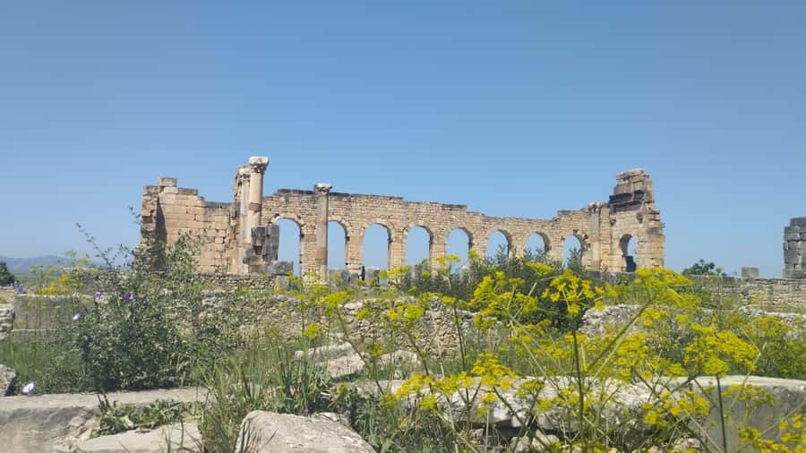 From Fes: Meknes Volubilis and Moulay Idriss Day Trip - Moulay Idriss: holy town atmosphere with realistic mosque access