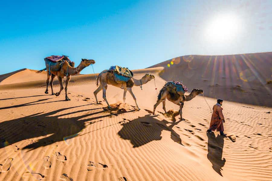 From Fes to Marrakech: 3-Day Sahara Desert Discovery Tour - Sunset camel ride in Erg Chebbi: the classic, done with timing