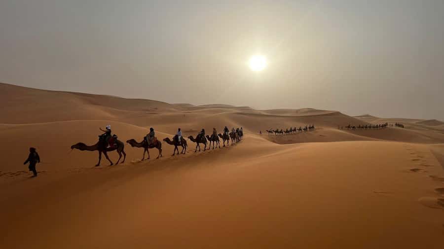 From Fes to Marrakech: 3-Day Sahara Desert Discovery Tour - Day 3 over the High Atlas: Tizi n’Tichka into Marrakech