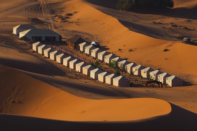 From Fes: Unforgettable Desert Tour to Marrakech 3-Day - Your first morning in Fes, then Ifrane and Azrou Cedar Forest