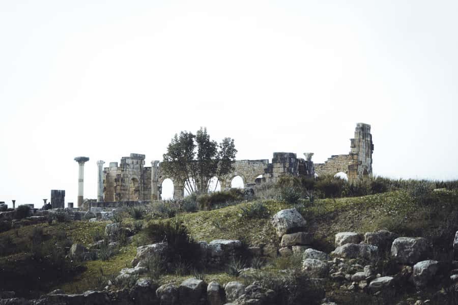 From Fes: Volubilis, Moulay Idriss and Meknes Full-Day Trip - Meknes on foot: medina time plus a big landmark at Bab Mansour Gate