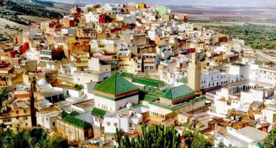 Volubilis, Moulay Idriss, & Meknes Full-Day Trip