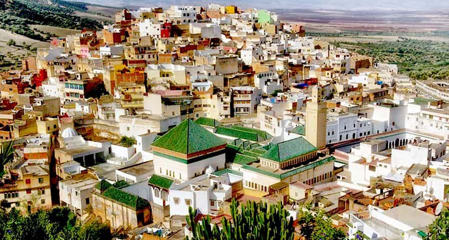 From Fes: Volubilis, Moulay Idriss, & Meknes Full-Day Trip - Volubilis Roman Ruins: Mosaics, Architecture, and Fast Access