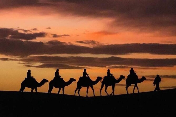 From Fez: 2-Day Desert Tour with Return to Fez or Marrakech - Midelt for Lunch and Fossil Rocks