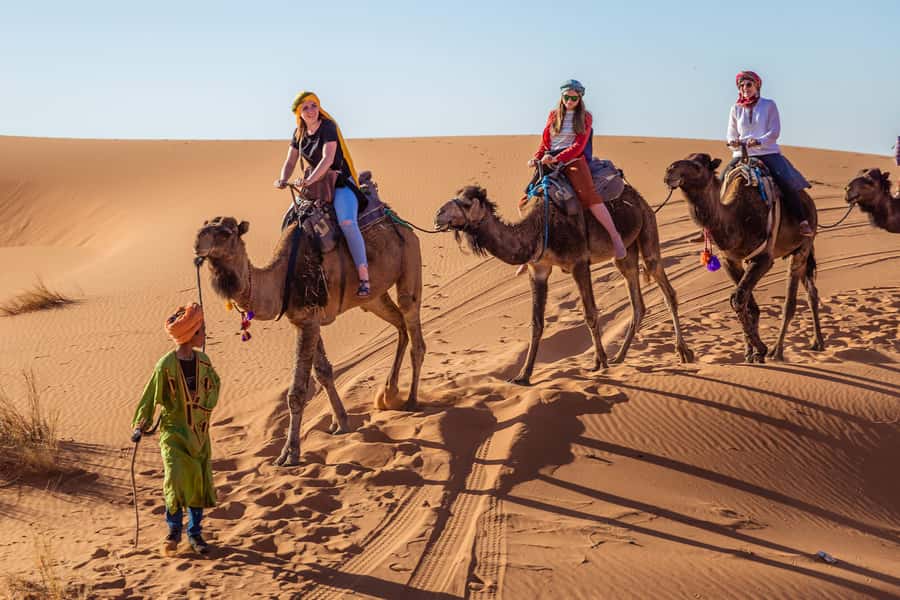 From Fez: 2-Days Desert Tour to Marrakech via Merzouga - Day Two: Merzouga Sunrise on Dunes, Then the Long Road to Marrakech