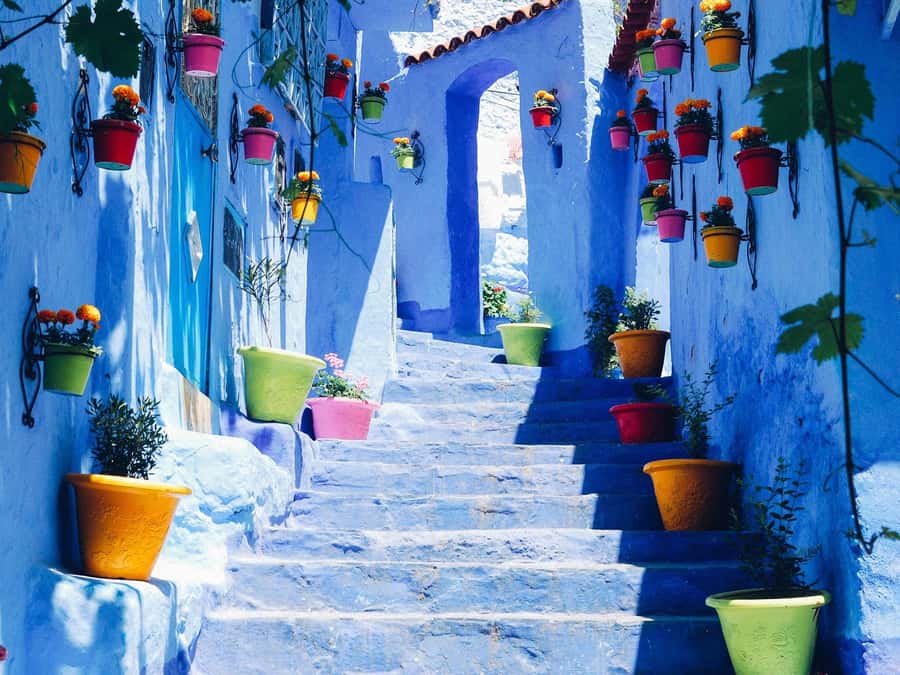 From Fez: Day Tour to the Blue Town of Chefchaouen - Entering Chefchaouen: First Blue Views and How to Avoid a Rushed Walk