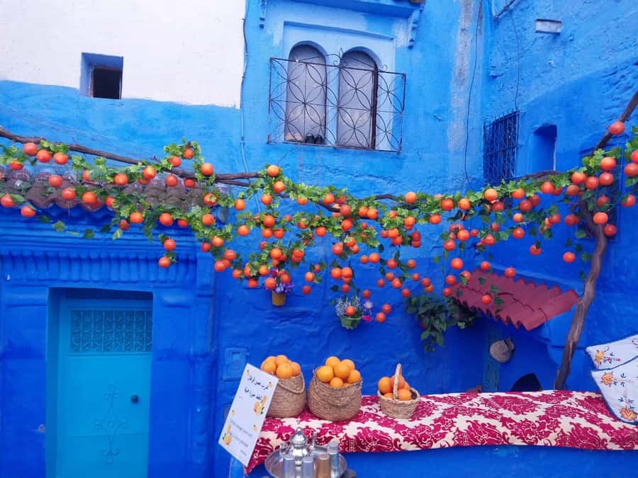 From Fez: Day Tour to the Blue Town of Chefchaouen - Free Time Highlights: Medina Strolls, Ras Elma, and Spanish-Mosque-Style Views
