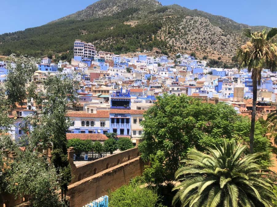 From Fez: Day Tour to the Blue Town of Chefchaouen - Should You Book This Day Trip to Chefchaouen?