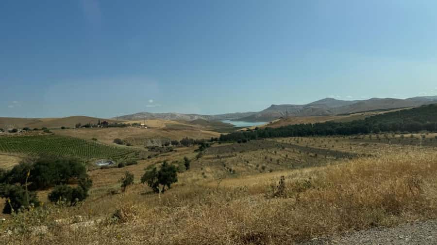 From Fez: Meknes, Volubilis and Moulay Idriss Day Trip - Moulay Idriss Zerhoun: a holy town stop built around views and respect