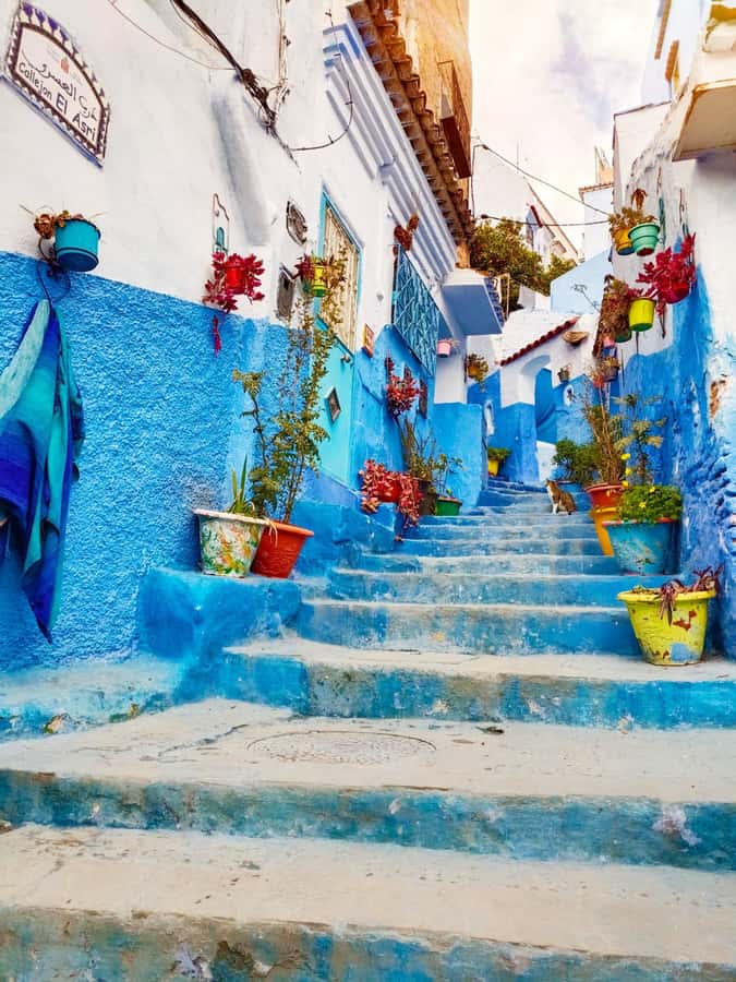 From Fez : Memorable Day Trip to Chefchaouen the Blue City - Chefchaouen in One Day: What You’re Really Buying