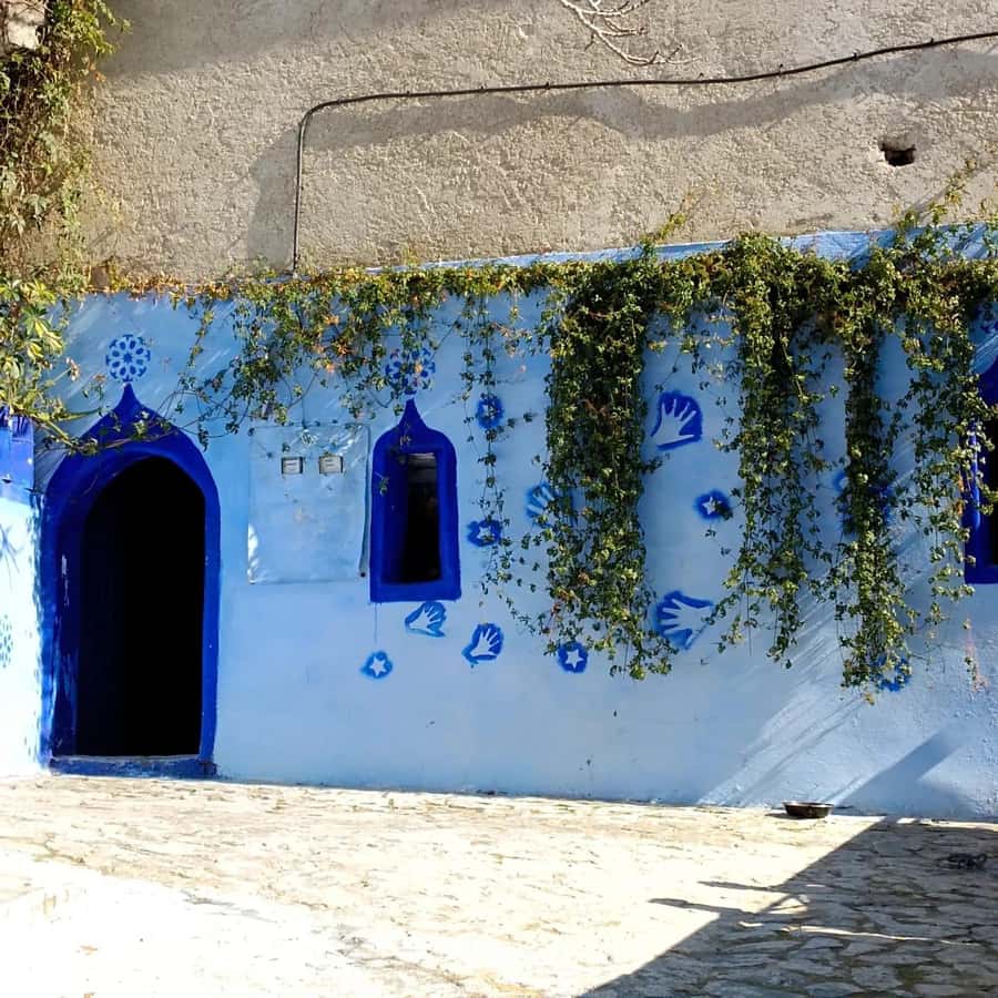 From Fez : Memorable Day Trip to Chefchaouen the Blue City - The Overlook Moment: See Chefchaouen Before You Walk It