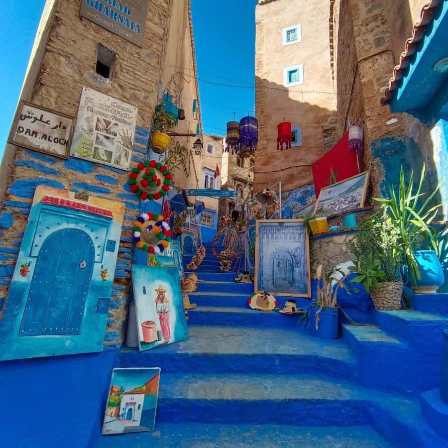 From Fez : Memorable Day Trip to Chefchaouen the Blue City - Comfort, Road Reality, and Who Should Book