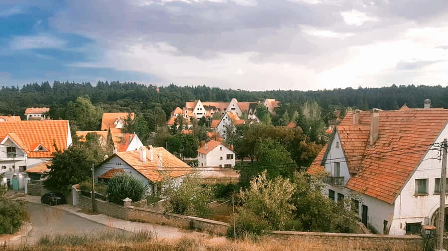From Fez: Middle Atlas and Monkey Forest Day Trip - Ifrane National Park and the Cedar Forest Monkey Moment