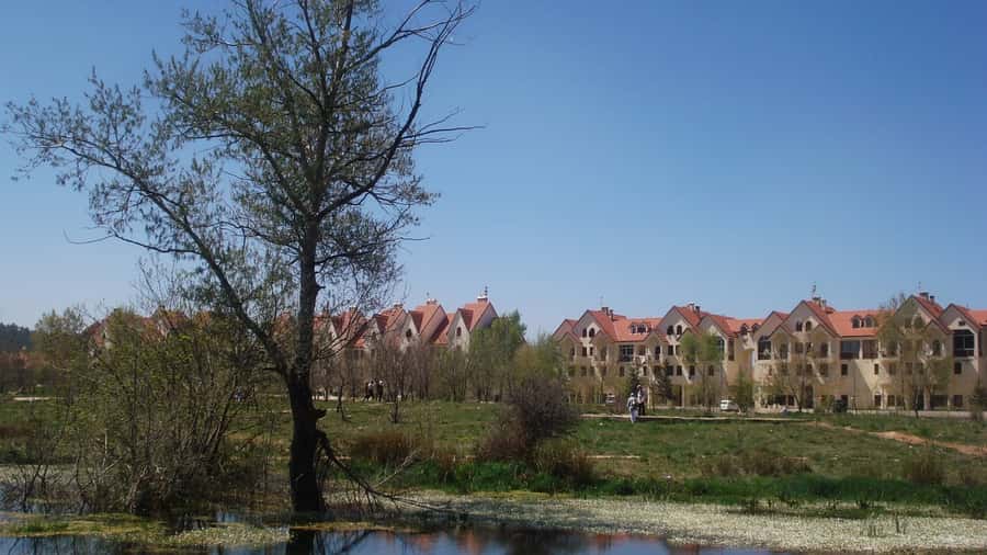 From Fez: Middle Atlas and Monkey Forest Day Trip - Ifrane: French-Designed Streets, the Stone Lion, and Quick University Sight
