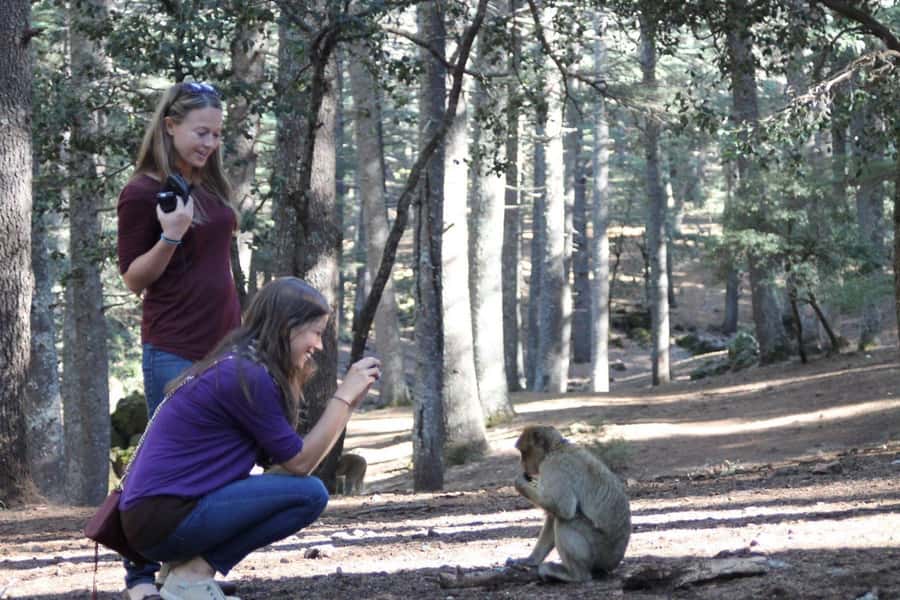 From Fez: Middle Atlas Day Trip with Ifrane National Park - The 7-hour Middle Atlas route: why this day trip works