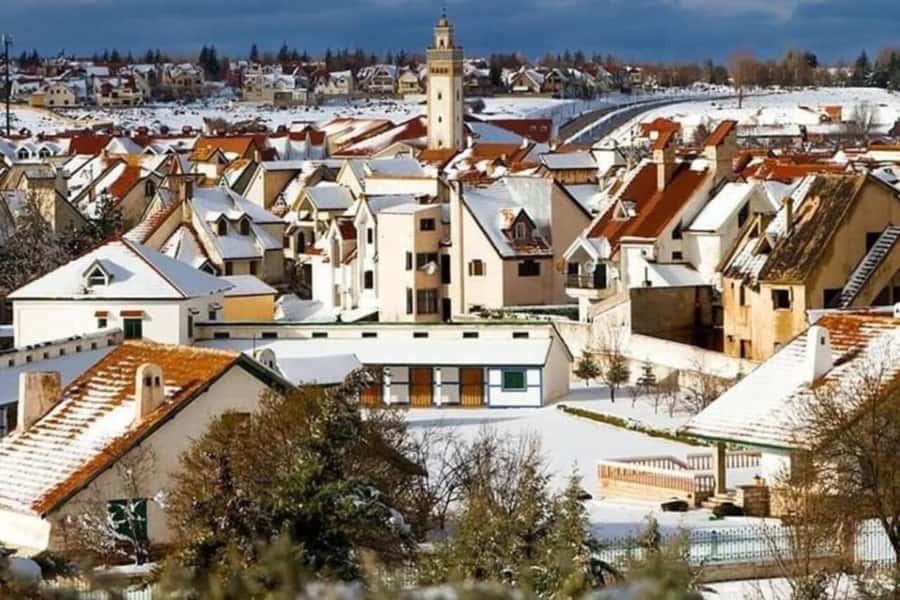 From Fez: Middle Atlas Ifran and Forest of Monkeys Day Trip - Ifrane town stops: stone lion, French-style streets, and short breaks