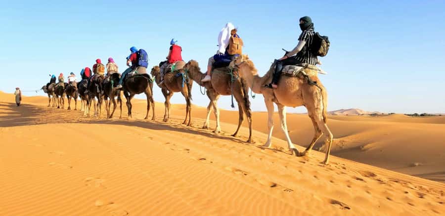 From Fez: Round-Trip Overnight Merzouga Desert Tour - Why this Fez to Merzouga tour feels like a journey, not a transfer