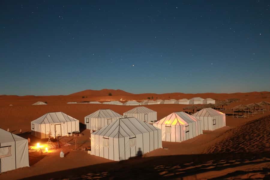 From Fez: Round-Trip Overnight Merzouga Desert Tour - Cedar forest with Barbary monkeys: fun, but read the moment