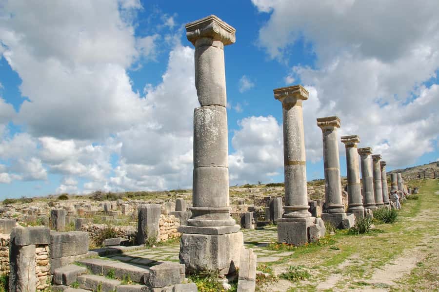 From Fez: Volubilis, Moulay Idriss and Meknes Full Day Tour - Meknes City Tour: 17th-Century Gates and the Medina Walk