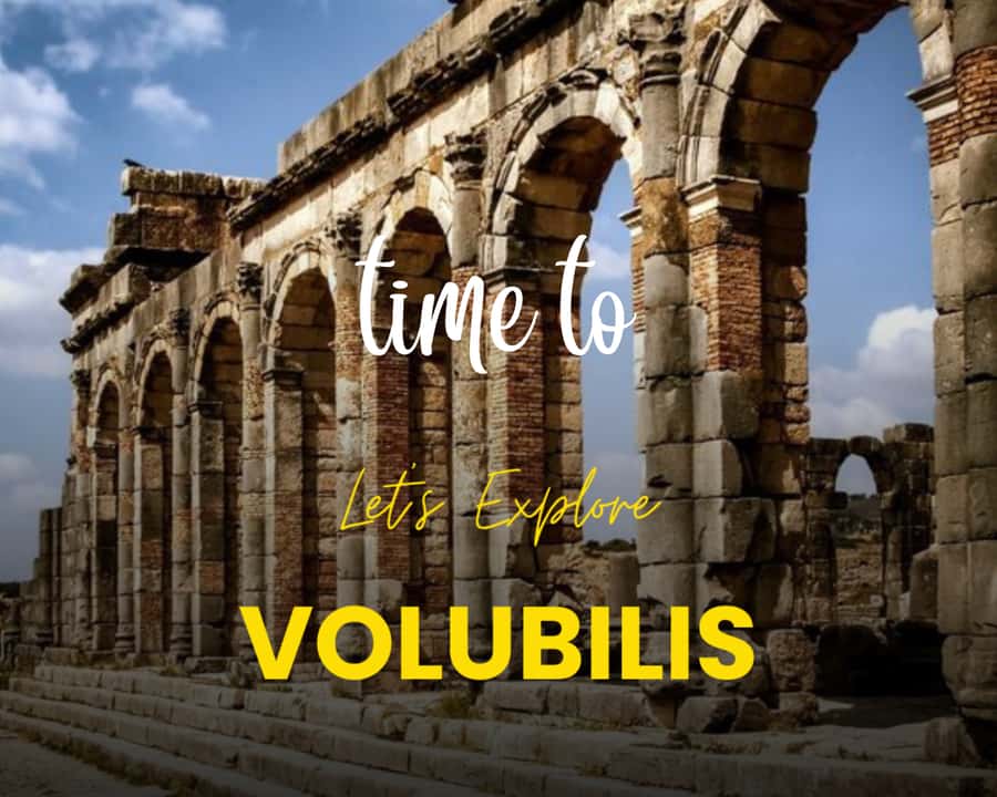 From Fez: Volubilis Moulay Idriss & Meknes Full-Day Trip - How this Fez day trip pulls off Volubilis, Moulay Idriss, and Meknes