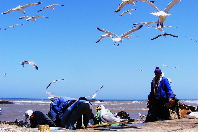 From Marrakech : 1-Day Group Trip To Essaouira - Marrakech to Essaouira in a Single Day, What the Ride Really Means