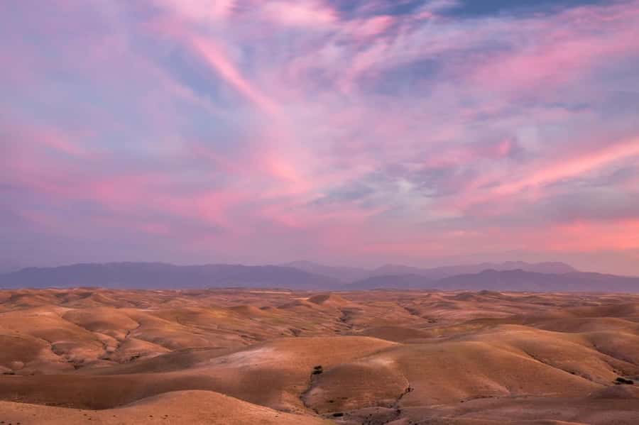 From Marrakech: 1-Hour Sunset Camel Ride in Agafay Desert - From pickup to Agafay dust, the logistics are straightforward