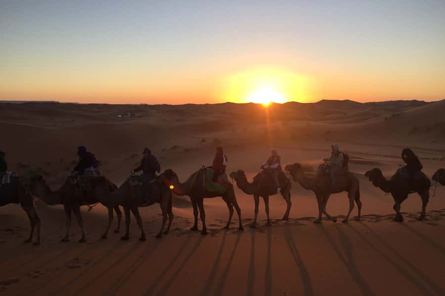 From Marrakech: 2-Day Sahara Tour to Zagora & Ait Ben Haddou - Price and value: is $84 a fair deal for two days?
