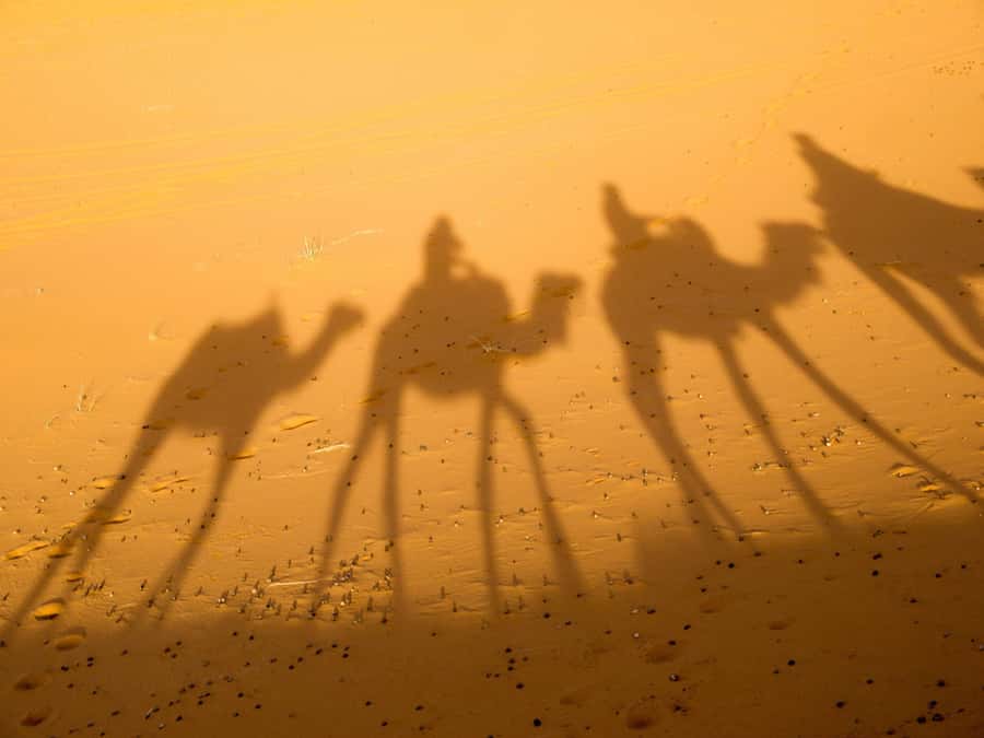 From Marrakech: 2-Day Zagora Desert Camp Trip - Sleeping in the Desert Camp: Private Facilities, Simple Tents