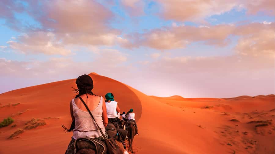 From Marrakech : 2 Days 1 night trip to Fes via Merzouga - Who Should Book This Trip, and Who Should Skip It