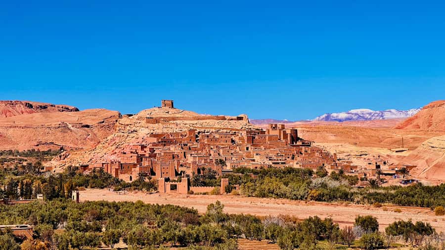 From Marrakech: 2 Days Zagora Desert Safari with Food & Camp - Price and Value at About $90 per Person (What You Get)