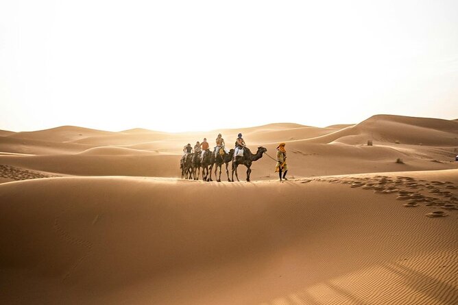 From Marrakech: 3-Day Desert Tour to Agadir - Camel ride sunset, sandboarding, and sleeping in the Erg Chebbi camp